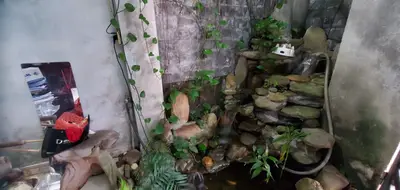 Bán nhà cấp 4 Kiệt Nam Cao, Liên Chiểu – 93,4 m², 3,2 tỷ – ảnh 4