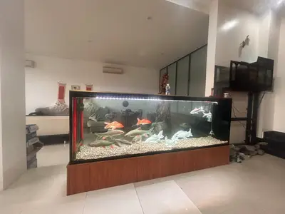 Bán nhà Trần Hưng Đạo, Điện Bàn – 300 m², 4 tầng, 17 tỷ – ảnh 9