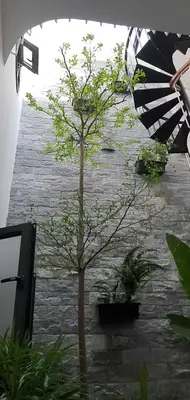 Bán nhà mặt tiền Hòa Minh 10, Liên Chiểu – 75 m², 2 tầng, 6,8 tỷ – ảnh 7