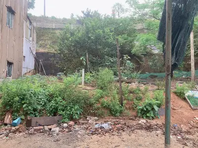 Bán đất Tôn Đản, Cẩm Lệ – 85 m², 2,65 tỷ