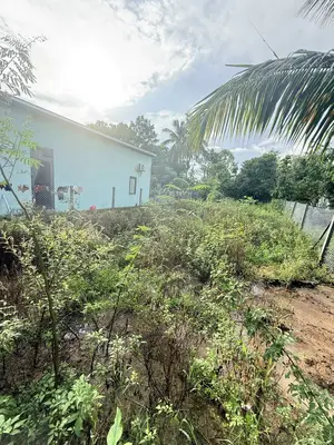 Bán đất Hà Đông, Hòa Vang – 232 m², 2,5 tỷ