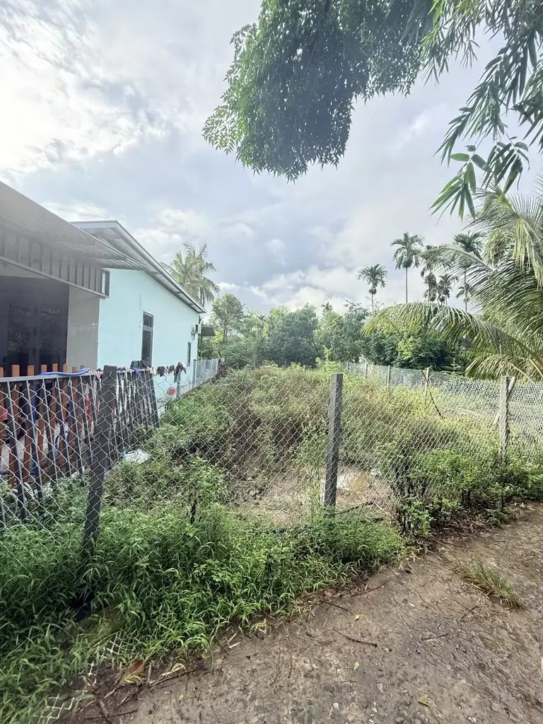 Bán đất Hà Đông, Hòa Vang – 232 m², 2,5 tỷ – ảnh 3
