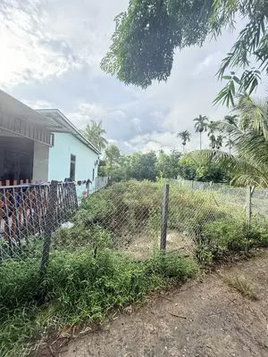 Bán đất Hà Đông, Hòa Vang – 232 m², 2,5 tỷ – ảnh 3