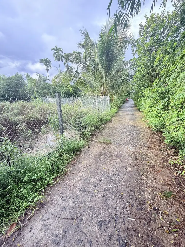 Bán đất Hà Đông, Hòa Vang – 232 m², 2,5 tỷ – ảnh 4