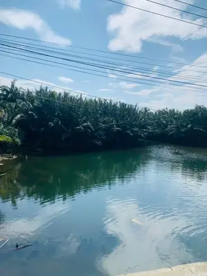 Bán đất Cẩm thanh DePam, Hội An – 224 m², 5,6 tỷ – ảnh 1