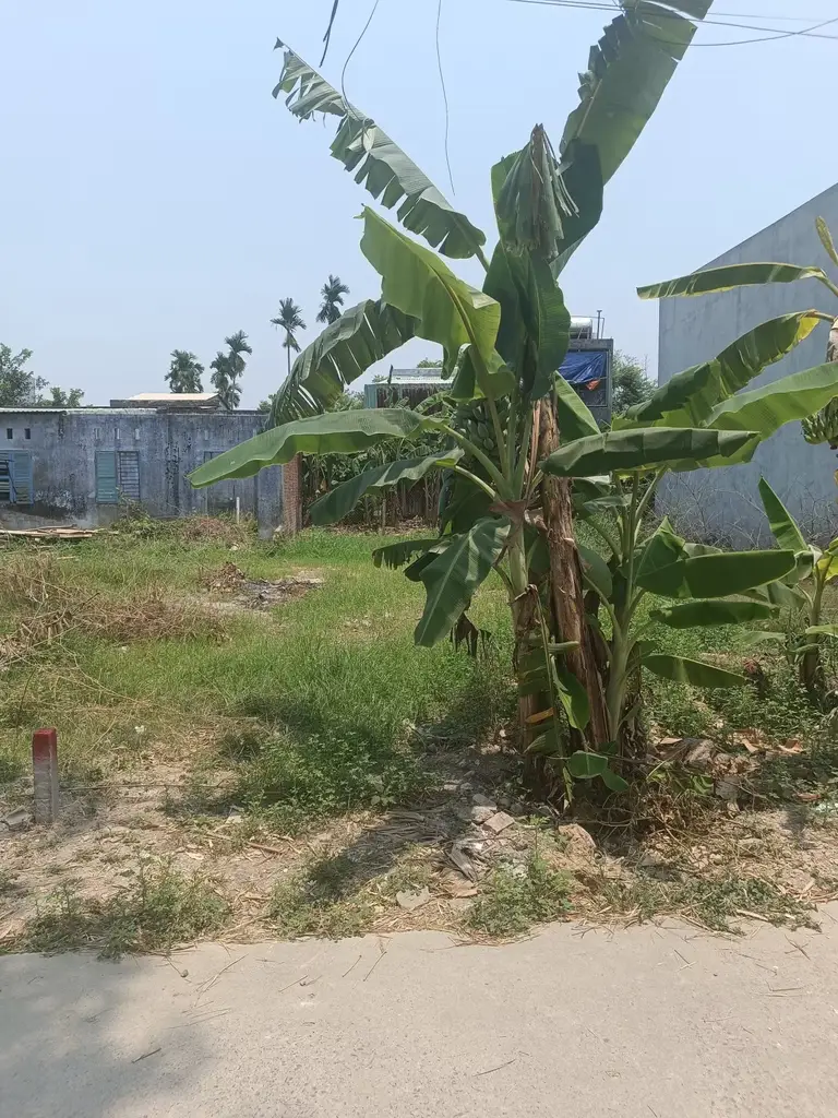 Bán đất Phong Nam, Hòa Vang – 99 m², 2,45 tỷ – ảnh 4