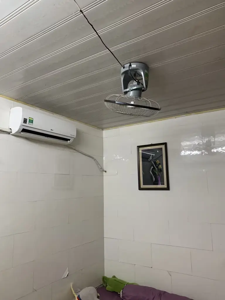 Bán nhà cấp 4 Kiệt Phạm Nhử Tăng, Thanh Khê – 81 m², 3,9 tỷ – ảnh 5