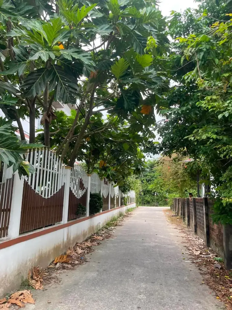 Bán đất Hòa Tiến, Hòa Vang – 134 m², 1,68 tỷ – ảnh 2
