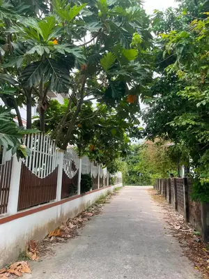 Bán đất Hòa Tiến, Hòa Vang – 134 m², 1,68 tỷ – ảnh 2