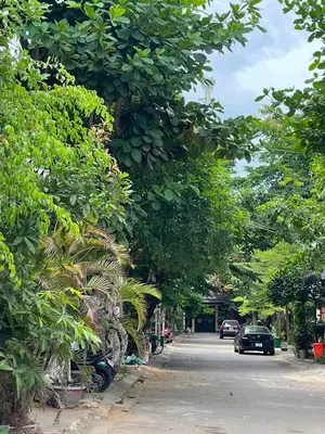 Bán nhà mặt tiền Cẩm Nam, Cẩm Lệ – 138 m², 3 tầng, 14,9 tỷ – ảnh 2