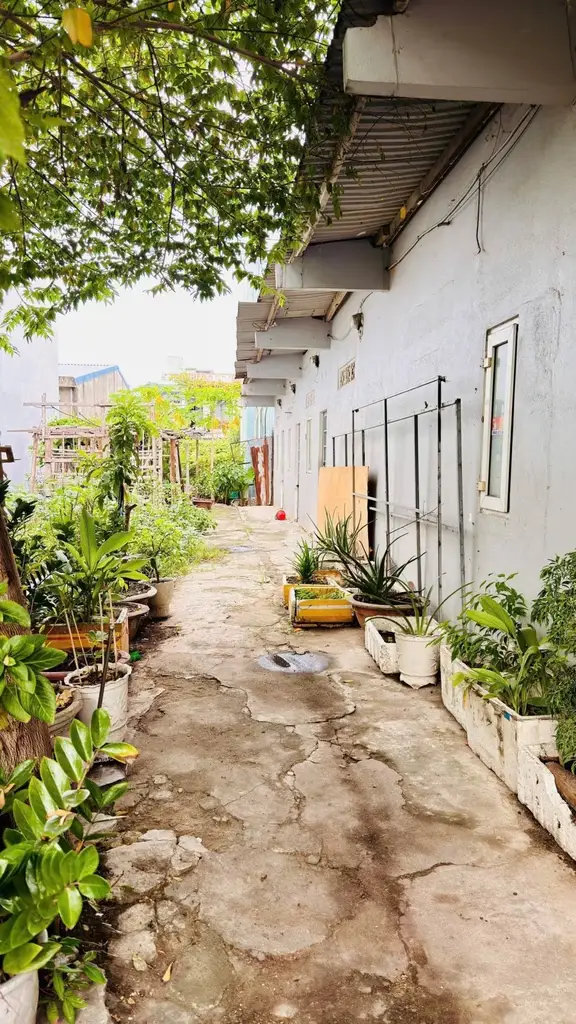 Bán nhà Hoàng Tăng Bí, Cẩm Lệ – 110 m², 2 tầng, 7,15 tỷ – ảnh 4