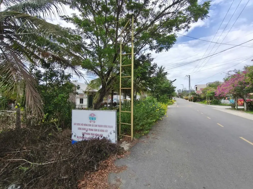 Bán đất Thanh Niên, Quảng Nam (khu khác) – 1.173 m², 9,5 tỷ – ảnh 4