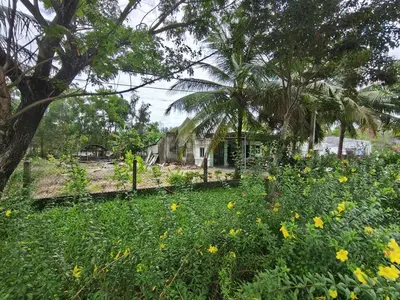 Bán đất Thanh Niên, Quảng Nam (khu khác) – 1.173 m², 9,5 tỷ – ảnh 6