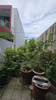 Bán đất Diệp Minh Châu, Cẩm Lệ – 100 m², 6,2 tỷ