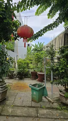 Bán đất Diệp Minh Châu, Cẩm Lệ – 100 m², 6,2 tỷ – ảnh 2