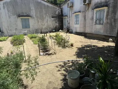 Bán nhà cấp 4 mặt tiền Đường Nguyễn Phan Vinh, Hội An – 757 m², 56,5 tỷ – ảnh 4