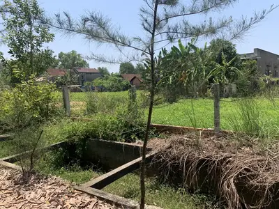 Bán đất Thăng An Đà Nẵng ( Binh Dương Thăng Bình cũ, Quảng Nam (khu khác) – 7.250,6 m², 24,2 tỷ – ảnh 2