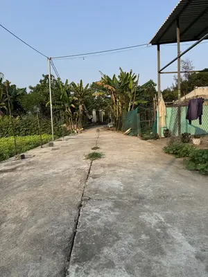 Bán đất Lưu Quang Vũ, Ngũ Hành Sơn – 81 m², 2,7 tỷ – ảnh 2