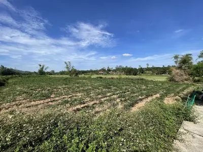 Bán đất mặt tiền Quế Thuận, Quảng Nam (khu khác) – 2.953 m², 3,3 tỷ