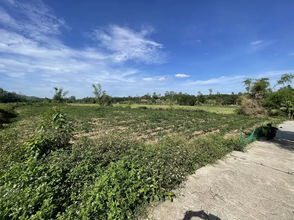 Bán đất mặt tiền Quế Thuận, Quảng Nam (khu khác) – 2.953 m², 3,3 tỷ – ảnh 2