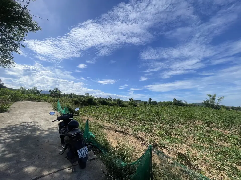 Bán đất mặt tiền Quế Thuận, Quảng Nam (khu khác) – 2.953 m², 3,3 tỷ – ảnh 4