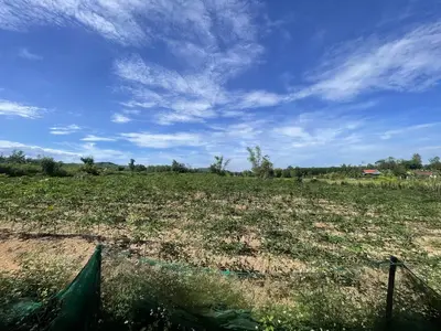 Bán đất mặt tiền Quế Thuận, Quảng Nam (khu khác) – 2.953 m², 3,3 tỷ – ảnh 6
