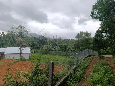 Bán nhà Thôn Hội Phước xã Hòa Phú, Hòa Vang – 2.500 m², 1 tầng, 4,85 tỷ – ảnh 2