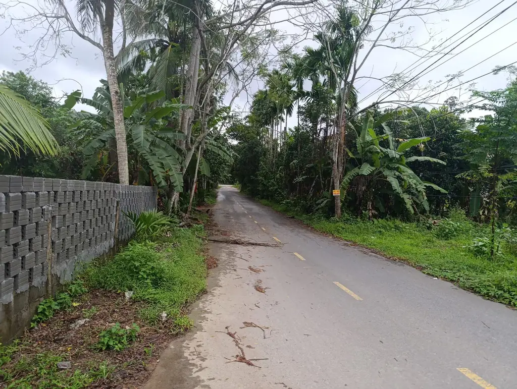 Bán nhà Thôn Hội Phước xã Hòa Phú, Hòa Vang – 2.500 m², 1 tầng, 4,85 tỷ – ảnh 3
