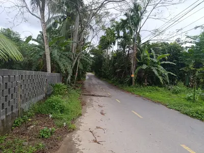 Bán nhà Thôn Hội Phước xã Hòa Phú, Hòa Vang – 2.500 m², 1 tầng, 4,85 tỷ – ảnh 3