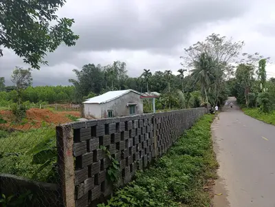 Bán nhà Thôn Hội Phước xã Hòa Phú, Hòa Vang – 2.500 m², 1 tầng, 4,85 tỷ – ảnh 4
