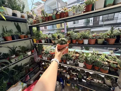 Bán nhà mặt tiền Hải Châu – 73 m², 5 tầng, 11,6 tỷ – ảnh 6