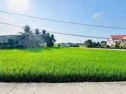 Bán đất Kiệt Lê Thánh Tông, Hội An – 953 m², 21,9 tỷ – ảnh 4