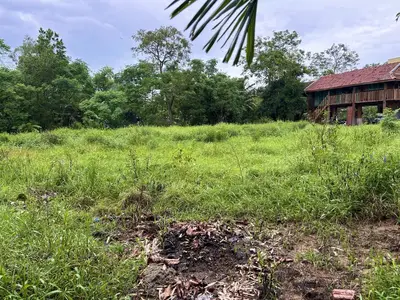 Bán đất Triêm Tây, Hội An – 2.395 m², 13 tỷ – ảnh 6