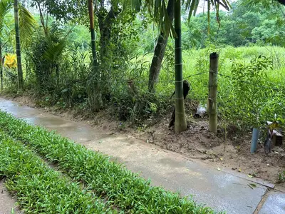 Bán đất Triêm Tây, Hội An – 2.395 m², 13 tỷ – ảnh 8