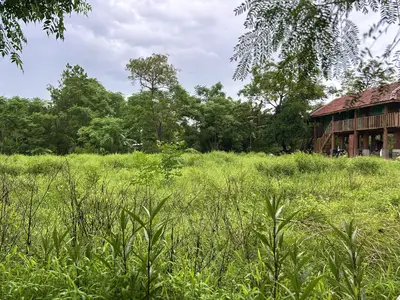 Bán đất Triêm Tây, Hội An – 2.395 m², 13 tỷ – ảnh 9