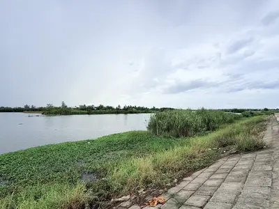 Bán đất Trà Đóa 2 – Thăng An, Quảng Nam (khu khác) – 117,9 m², 1,6 tỷ – ảnh 12