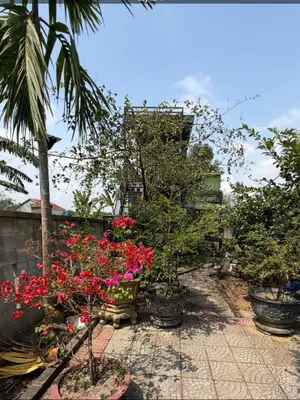 Bán nhà mặt tiền Cồn Mùn, Hòa Vang – 310 m², 1,5 tầng, 3,39 tỷ