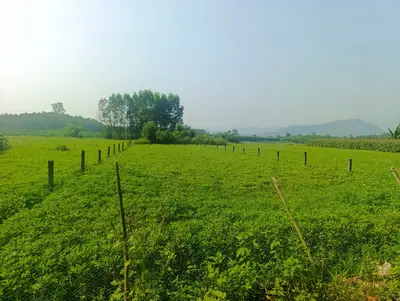Bán đất Thôn Diêu Phong Hòa Nhơn, Hòa Vang – 511 m², 680 triệu