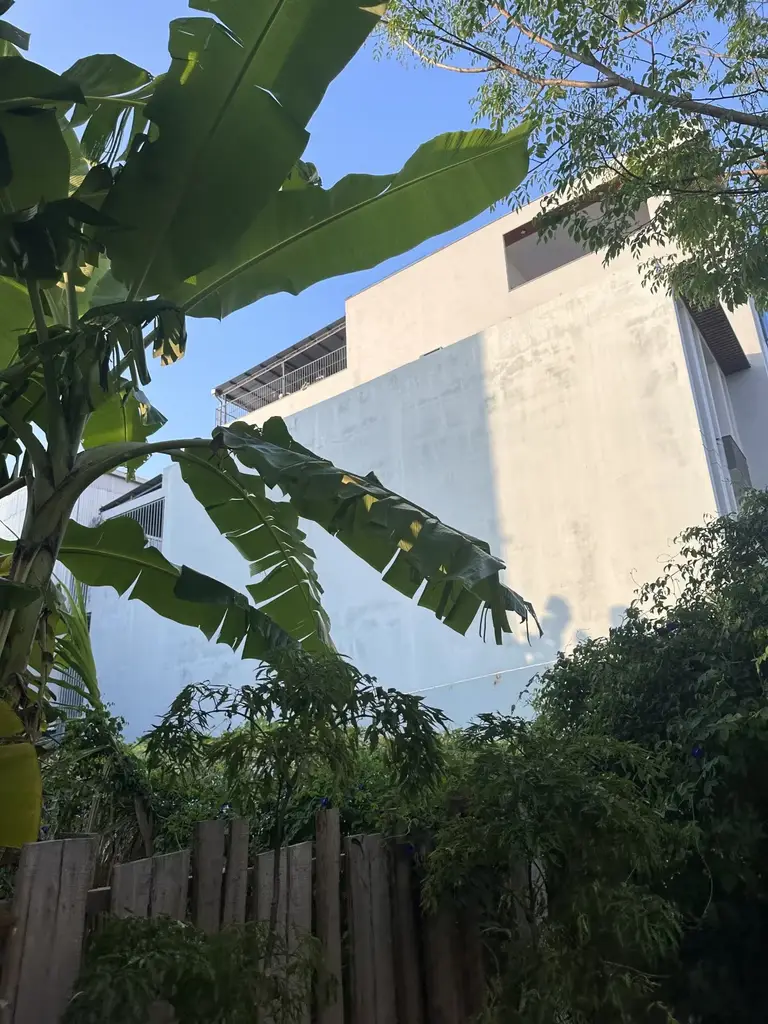 Bán đất mặt tiền Hoàng Hiệp, Cẩm Lệ – 100 m², 6,85 tỷ – ảnh 3