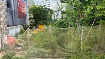 Bán đất Dt 602, Hòa Vang – 117 m², 2,55 tỷ