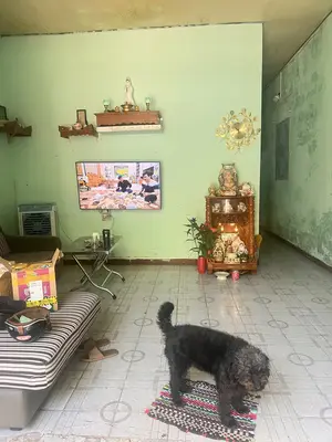 Bán nhà cấp 4 Lê Văn Thứ, Sơn Trà – 131,1 m², 12,3 tỷ – ảnh 2