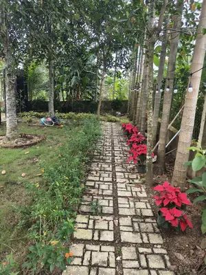 Bán nhà cấp 4 Thôn Phước Hưng Nam Hòa Nhơn, Hòa Vang – 229 m², 2,55 tỷ – ảnh 8