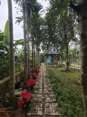 Bán nhà cấp 4 Thôn Phước Hưng Nam Hòa Nhơn, Hòa Vang – 229 m², 2,55 tỷ – ảnh 9