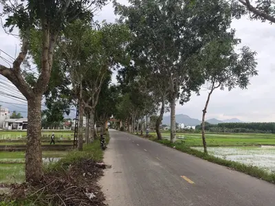 Bán nhà cấp 4 Thôn Phước Hưng Nam Hòa Nhơn, Hòa Vang – 229 m², 2,55 tỷ – ảnh 13