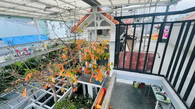 Bán nhà mặt tiền Lê Duẩn, Thanh Khê – 300 m², 3 tầng, 30 tỷ – ảnh 3