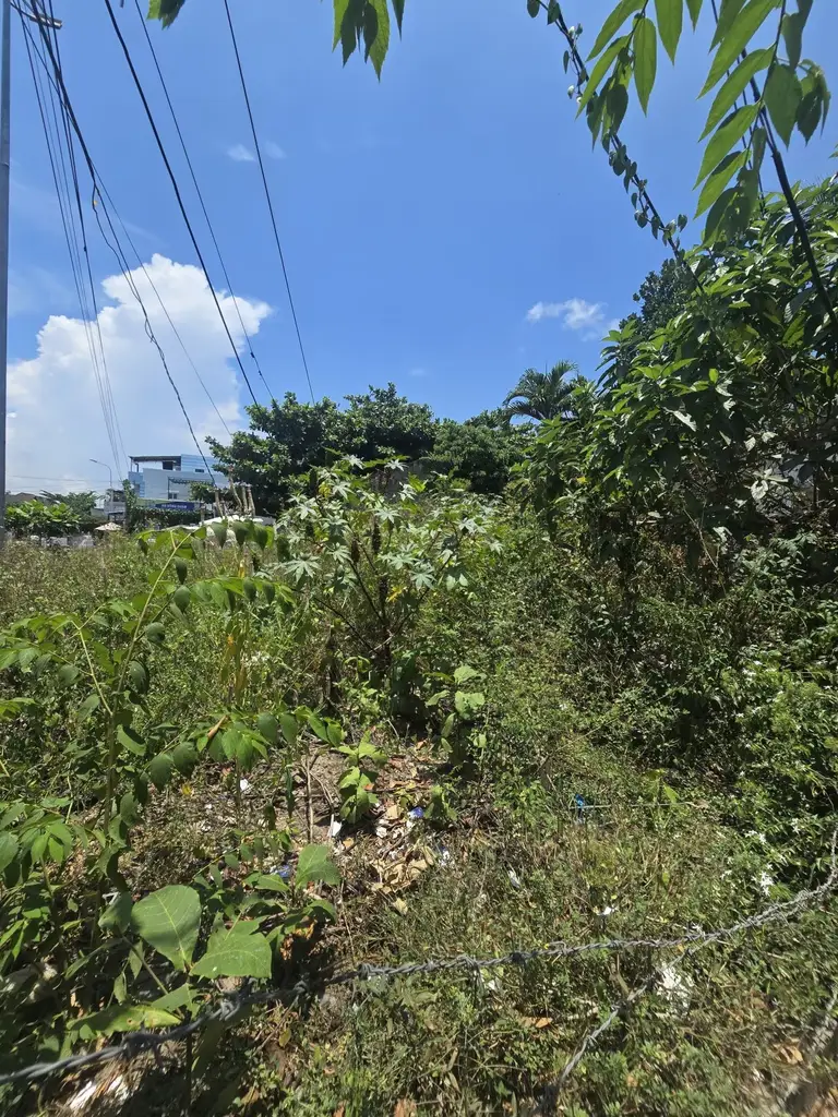 Bán đất Hùng Vương, Hội An – 277 m², 11,5 tỷ – ảnh 5