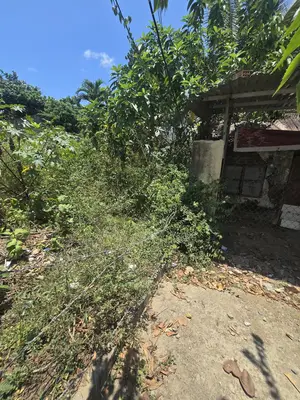 Bán đất Hùng Vương, Hội An – 277 m², 11,5 tỷ – ảnh 6