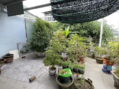 Bán nhà Lương Thế Vinh, Sơn Trà – 159 m², 2 tầng, 11,5 tỷ – ảnh 5