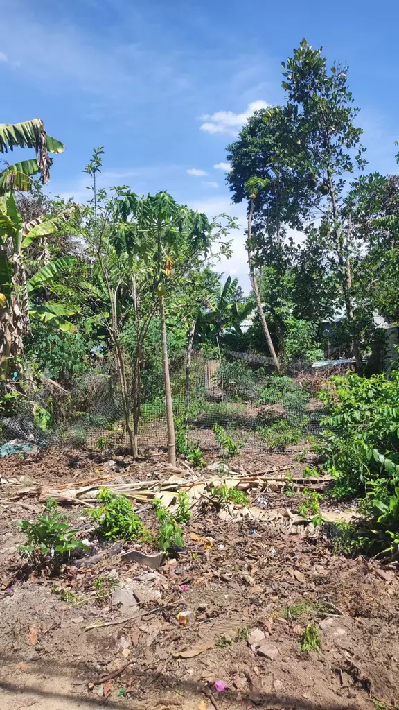 Bán đất thôn Phước Thái xã Hòa nhơn ( xã Hòa Vang, Hòa Vang – 123,9 m², 1,7 tỷ – ảnh 3