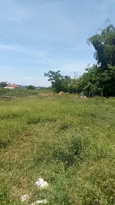 Bán đất Đinh Liệt, Cẩm Lệ – 1.055 m², 10,5 tỷ